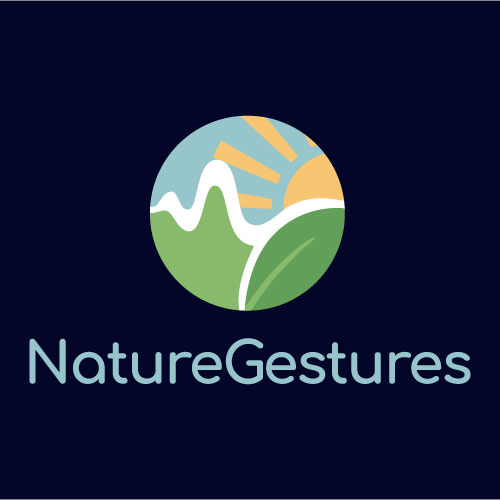 Nature Gestures visuals